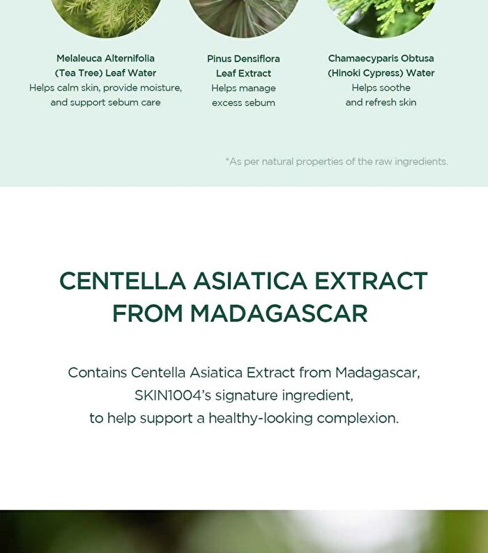 SKIN1004 Madagascar Centella Tea-Trica Travel Kit - 4 pcs
