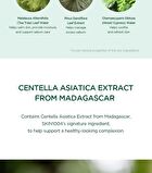 SKIN1004 Madagascar Centella Tea-Trica Travel Kit - 4 pcs