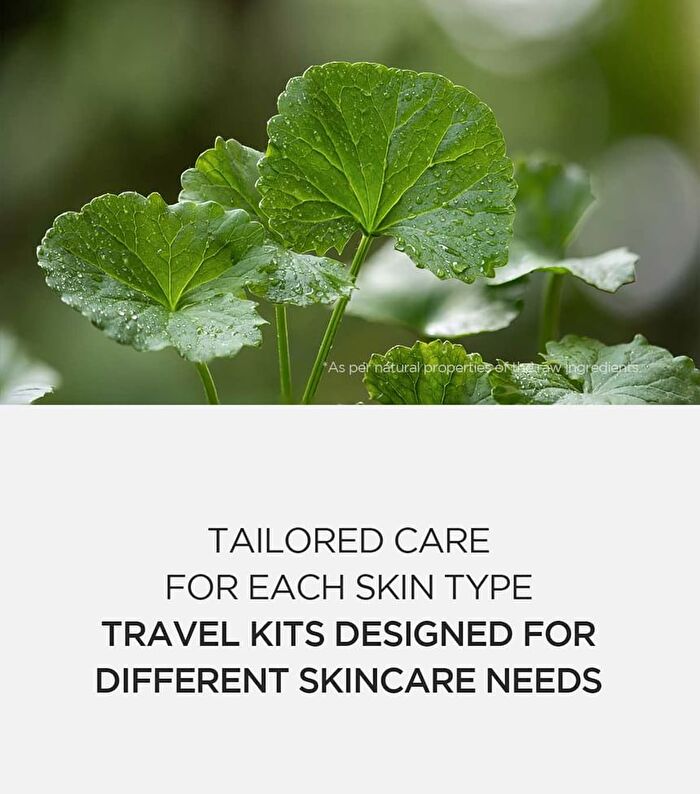 SKIN1004 Madagascar Centella Tea-Trica Travel Kit - 4 pcs