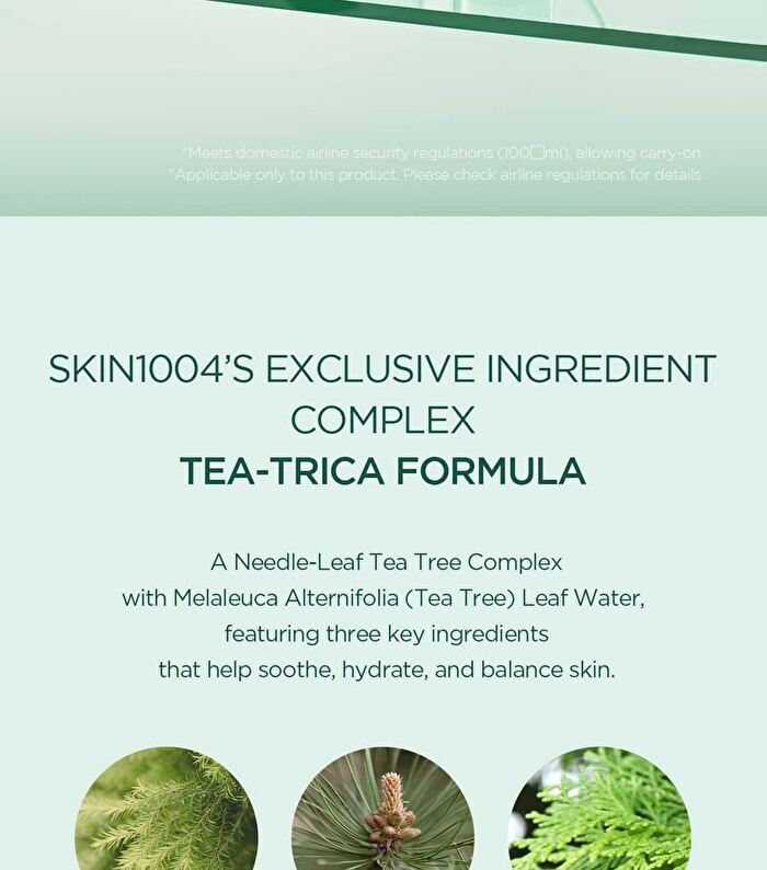 SKIN1004 Madagascar Centella Tea-Trica Travel Kit - 4 pcs