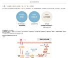 Etvos Mineral  Aqua Protector Limited Kit+ - 1 set