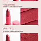 Inga Powder Blur Lipstick - 7 Colors - Mauve Lilac