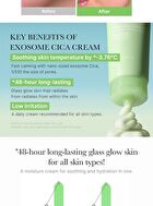 Exosome Cica Cream  (EU/UK Packaging) - 50ml