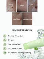 Exosome Cica Cream  (EU/UK Packaging) - 50ml