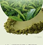Vt Matcha Cica Layer Serum - 30ml