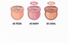 too cool for school Artclass By Rodin Blusher - 6 Types - 2026 Version - De Berry