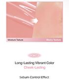 Jung Saem Mool Artist Cushion Blush Blur - 6 Colors - Tan Apricot