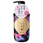 Ichikami Smoothing Conditioner - 450g