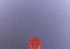 Red Chamber Serene Winter Wandering Multi-Purpose Stick - #S307 Glittering - 4.8g