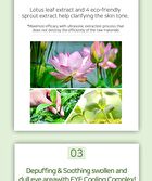 Hayejin Blessing of Sprout Wrinkle-away Eye Cream - 35ml