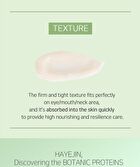 Hayejin Blessing of Sprout Wrinkle-away Eye Cream - 35ml