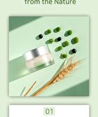 Hayejin Blessing of Sprout Wrinkle-away Eye Cream - 35ml