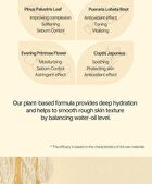 Hayejin RiceFila Moisturizing Cream - 50ml