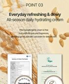 Hayejin RiceFila Moisturizing Cream - 50ml