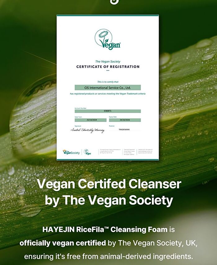 Hayejin RiceFila Cleansing Foam - 100ml