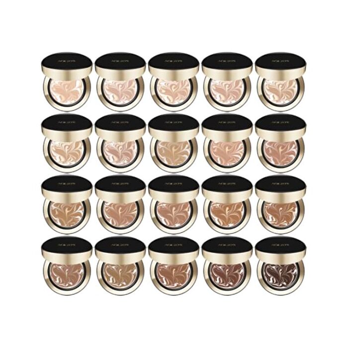 Signature Essence Pact Intense Cover - 20 Colors - 2026 Version - #24W