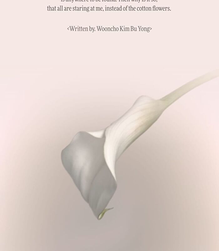 Wooncho Light-Veil Color Corrector - 3 Colors - #916 Peony Wooncho