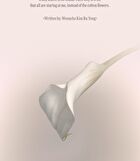 Wooncho Light-Veil Color Corrector - 3 Colors - #916 Peony Wooncho