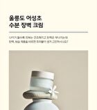 Plonte Moisture Calming Therapy Cream - 50ml