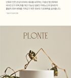 Plonte Moisture Calming Therapy Cream - 50ml