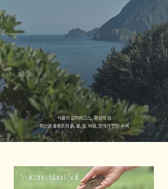 Plonte First Calming Essence - 100ml
