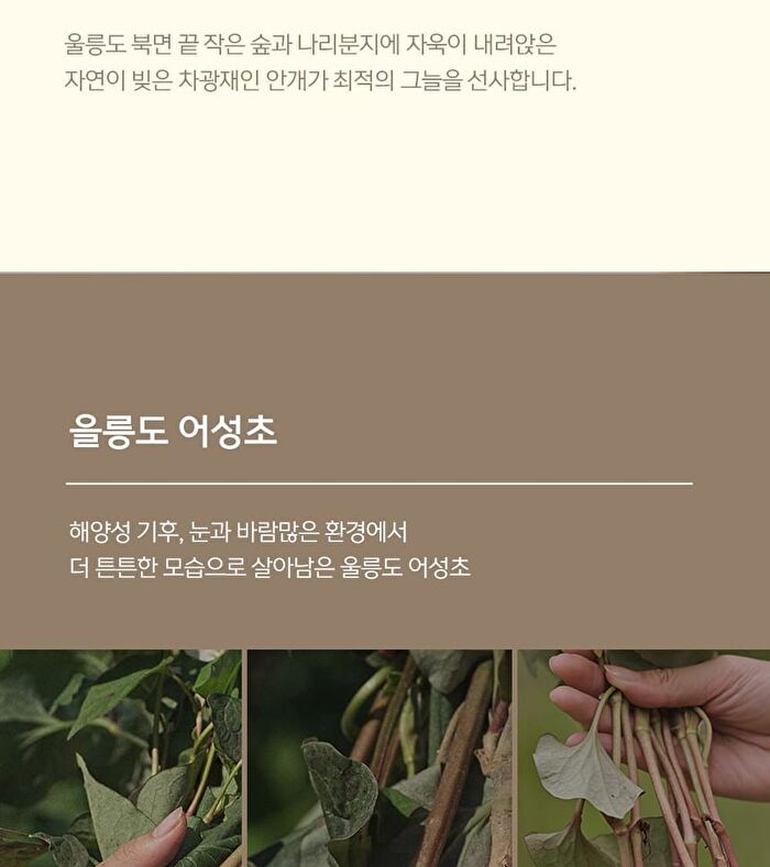 Plonte Premium Pack Cleanser - 100ml