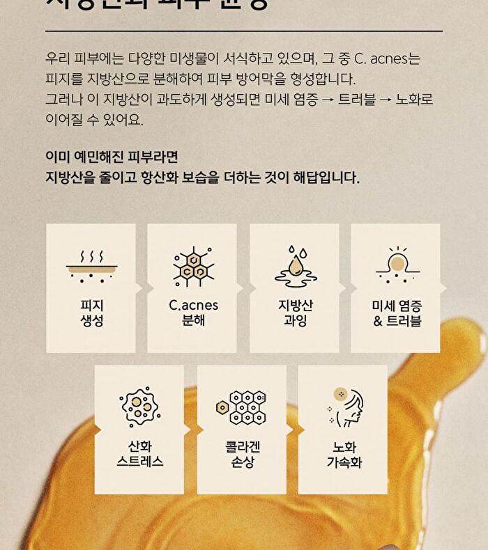 Plonte Premium Pack Cleanser - 100ml