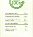 Green Grape Sebum Control Cooling Sun Stick - 20g