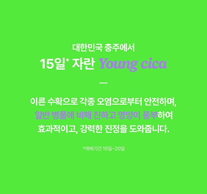 Young Cica PDRN Trouble Soothing Cream - 80ml