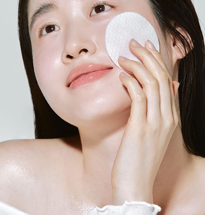 Original Herb Wormwood Pore Pad - 60 pads