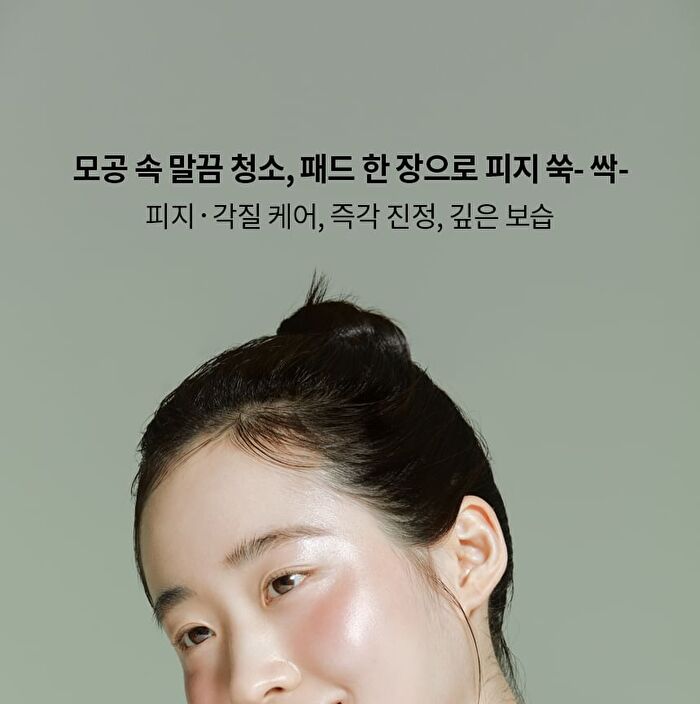Original Herb Wormwood Pore Pad - 60 pads