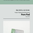 Original Herb Wormwood Pore Pad - 60 pads