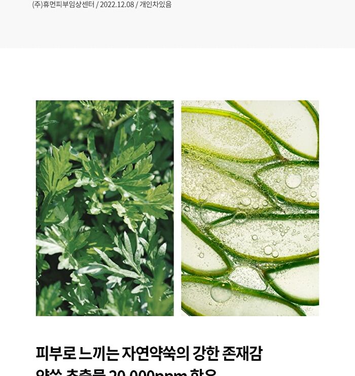 Original Herb Wormwood Pore Pad - 60 pads