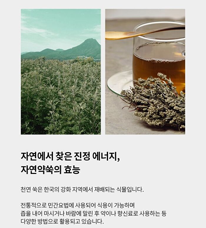 Original Wormwood Enzyme Cleansing Pack - 80g