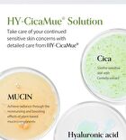 HyCicaMue Ampoule - 50ml