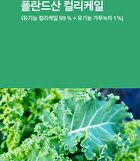 Organic Curly Kale - 1g x 30 sticks