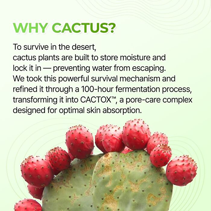 Cactox 3-Step Nose Pore Pack Set - 3 pcs