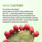 Cactox 3-Step Nose Pore Pack Set - 3 pcs