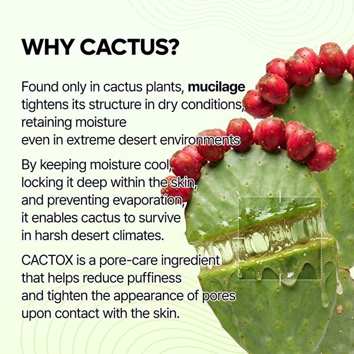 Cactox Pore Relief Jelly Serum Mist - 80ml