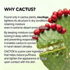 Cactox Pore Relief Jelly Serum Mist - 80ml