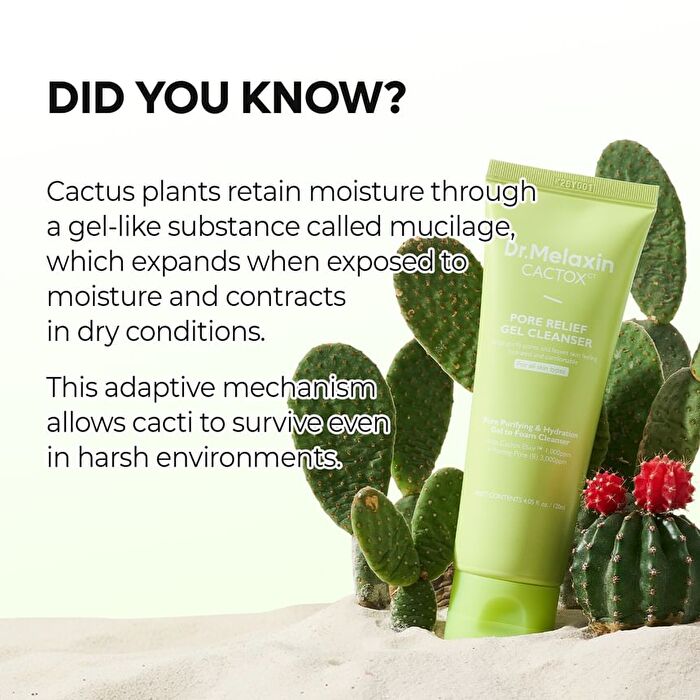 Cactox Pore Relief Gel Cleanser - 120ml