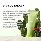 Cactox Pore Relief Gel Cleanser - 120ml