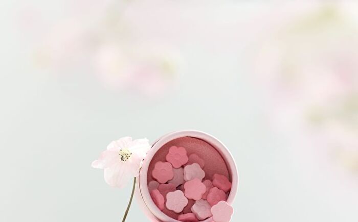 dasique Sugar Ball Blush - 2 Types - #02 Sugar Blossom