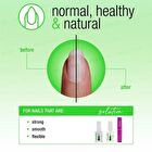 Nail Nutrition System - 1 set