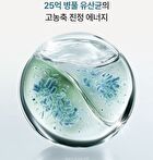 Max All In One Lotion - 500ml