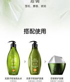 Sapindus Oil-Control Refreshing Shampoo - 400ml