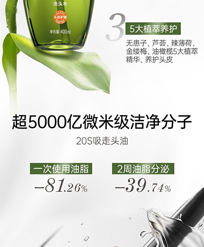 Sapindus Oil-Control Refreshing Shampoo - 400ml