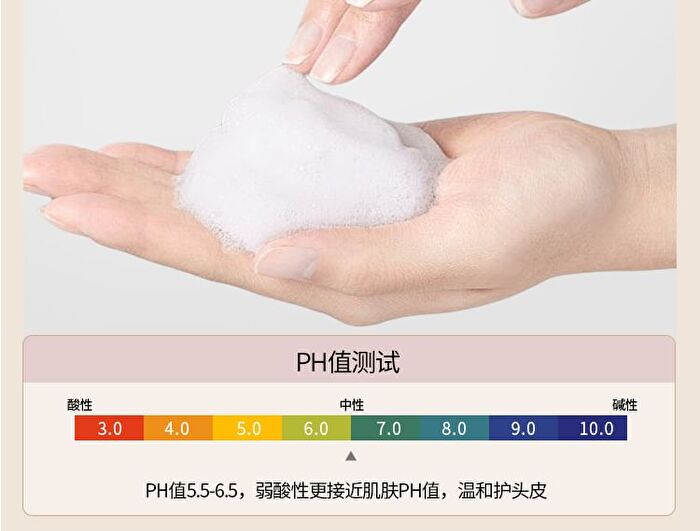 Camellia Seed Oil-Control Anti-Dandruff Shampoo - 400ml