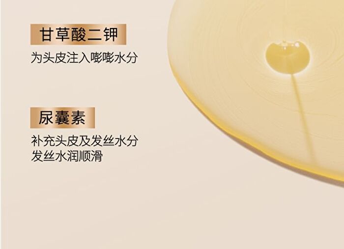 Camellia Seed Oil-Control Anti-Dandruff Shampoo - 400ml