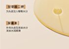 Camellia Seed Oil-Control Anti-Dandruff Shampoo - 400ml